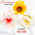 Super promocion en pinza de flor eterna 10 por10$