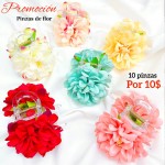 Super promocion en pinza de flor eterna 10 por10$