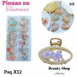 #006paquete de pinzas en tendencia X12 unidades