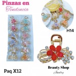 #006paquete de pinzas en tendencia X12 unidades