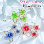 #001 Set de pinzas hawaianas 