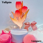 lampara sanrio-tulipan y torta cumpleanos