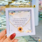 Cadena de girasol con estuche 3.50$