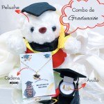 #00 Combo de peluche cadena y anillo (no incluye la cajita)