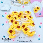 #10paquete cola girasol 25& (3.5*)