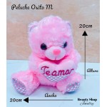 peluche osito con corazon