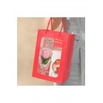 Bolsa de regalo (pequeña 0.65$) (mediana 0.95$) (grande 1.1$)