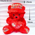 peluche osito grande (clip foto entre ver mas modelos)