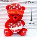 peluche osito grande (clip foto entre ver mas modelos)